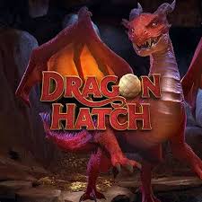 Dragon Hatch