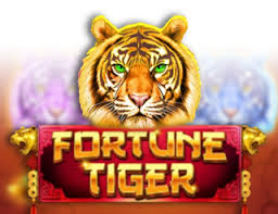 Fortuna Tiger